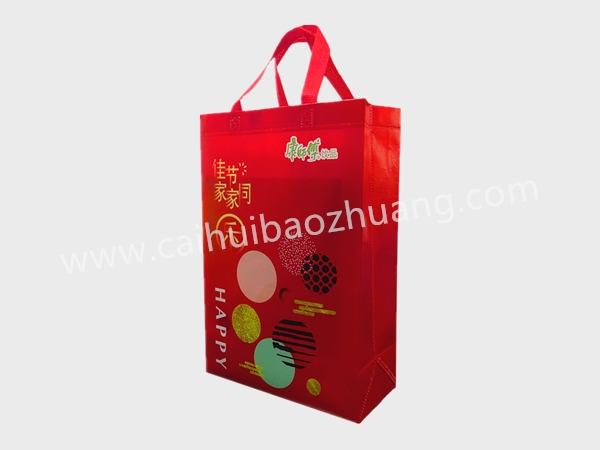 彩匯包裝 無(wú)紡布環(huán)保手提袋  手提袋生產(chǎn)廠家